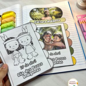 Livrinho cultura indígena