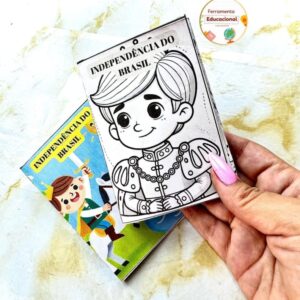 Livro ZINE Independência